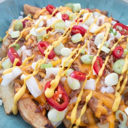 pulled pork loaded fries