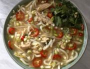 turkey noodle soup