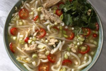 turkey noodle soup