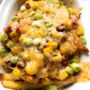loaded tuna fries